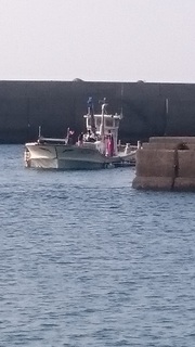 DSC_1154.JPG