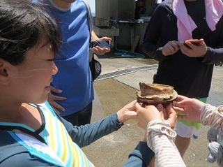 IMG_4015.jpg